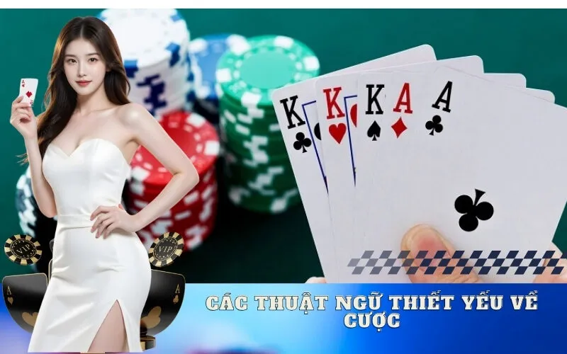 Các Thuật Ngữ Thiết Yếu Về Cược